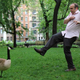 Image for article titled Sad Sack Bullied By Area Goose